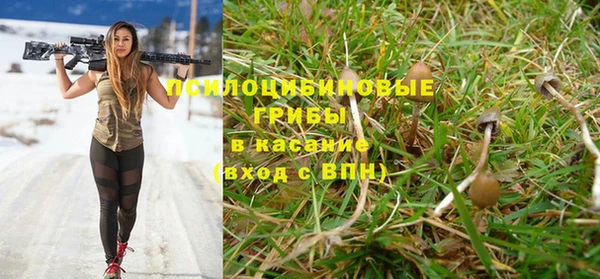 героин Богданович