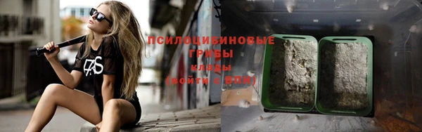 героин Богданович